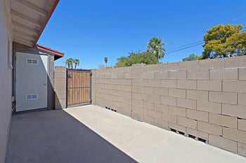 Backyard